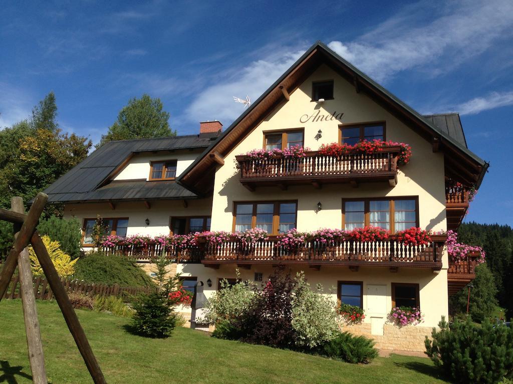 Apartmán Aneta