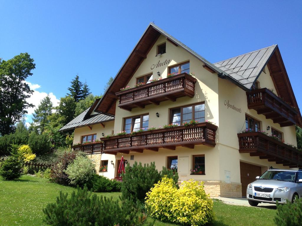 Apartmán Aneta *