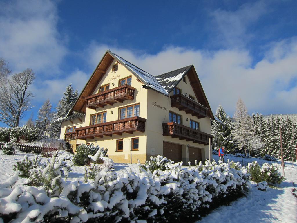 Apartmán Aneta *