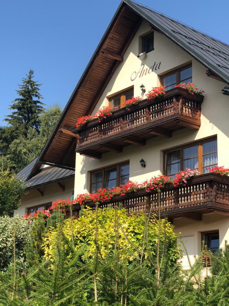 Apartmán Aneta Spindleruv Mlyn